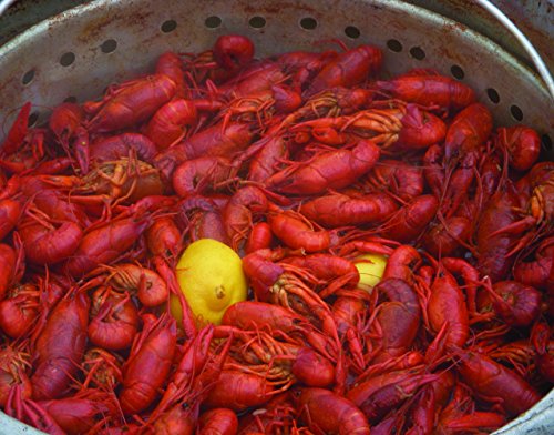 King Kooker 160-Quart Aluminum Boiling Pot