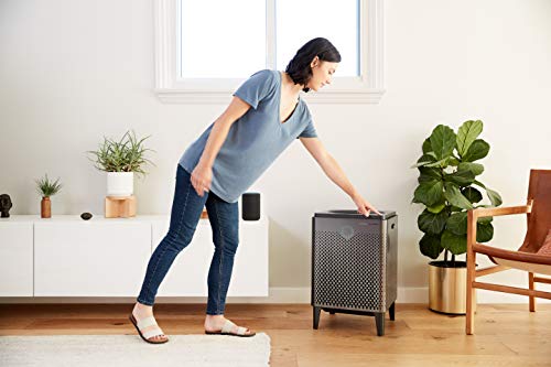 Coway Airmega 400 in Graphite/Silver Smart Air Purifier with 1,560 sq. ft. Coverage