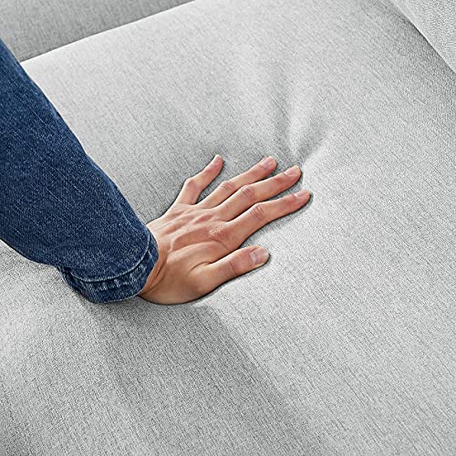 Olodumare Couches for Living Room,Pull Out Sofa Bed Sectional Sleeper with Storage