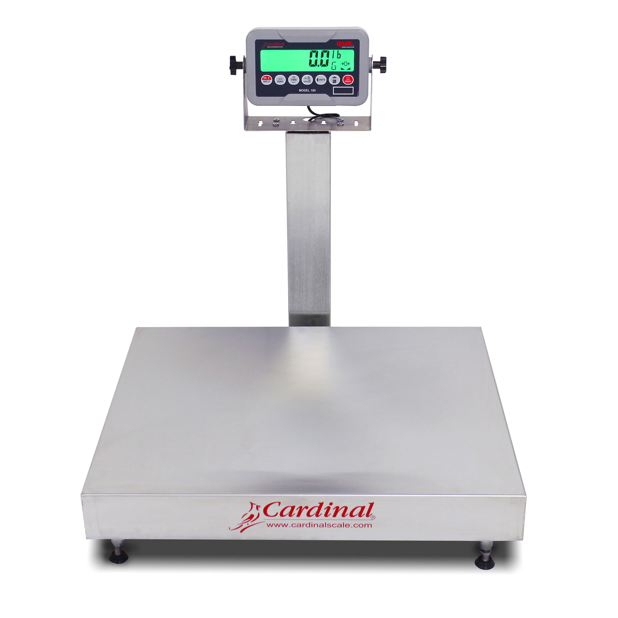 Cardinal EB-185 Series Bench Scale