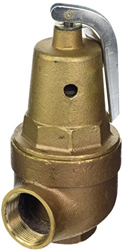 Pentair A0000300 75-PSI Pressure Relief Valve Replacement MT Commercial Pool and Spa Heater