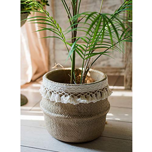 TXXM Flower Pot Straw Effect Cement Flower Pot Decorative Tassel Set Pot Culture Art Ornament (Color : B)