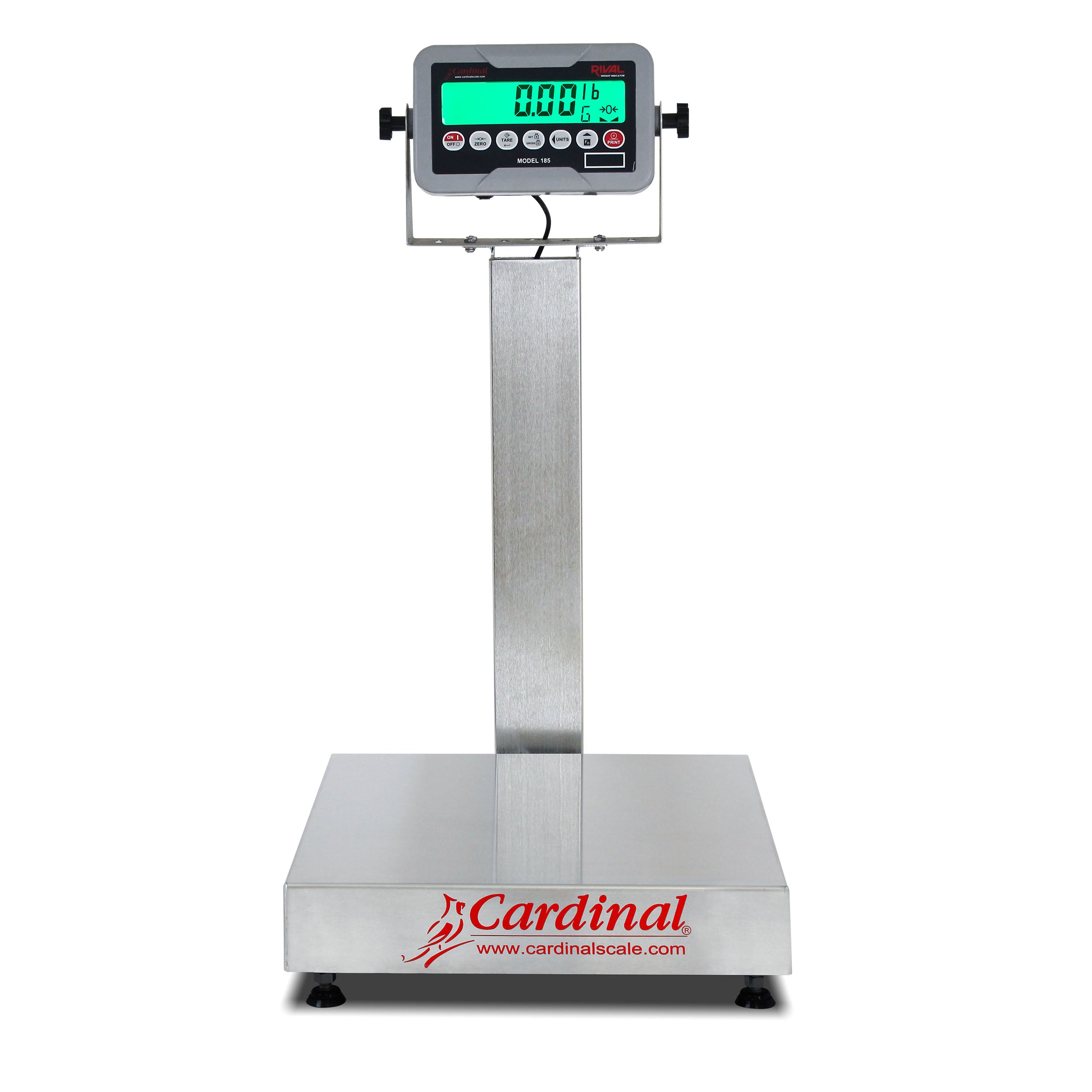 Cardinal EB-185 Series Bench Scale