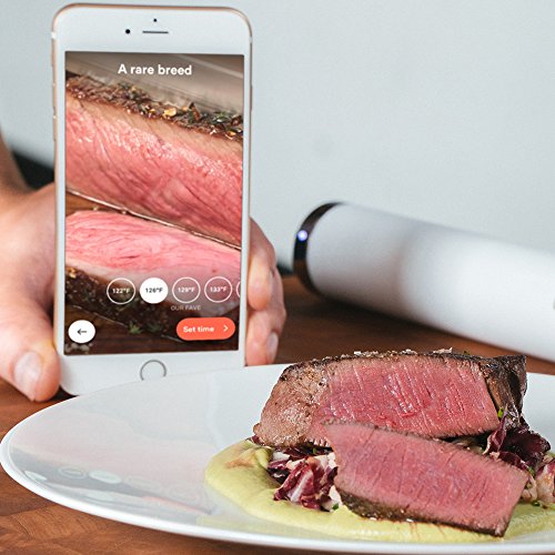 Breville CS10001 Joule Sous Vide, Stainless Steel