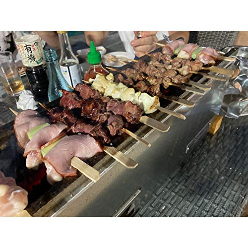 The Bincho Grill GR610S Yakitori Tabletop Charcoal Japanese Style Griller, Robata 24