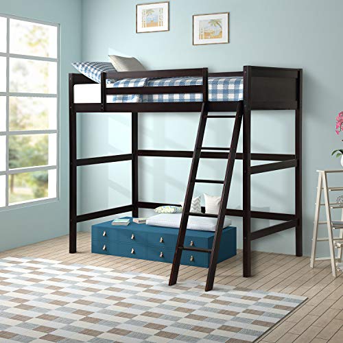 Solid Wood Loft Bed Panel Style Loft Bed, Side Angled Ladder, Harper&Bright Designs Kids Loft Bed with Ladder and Safety Rail for Kids Boys & Girl, Ship from USA Warehouse, Arrive Fast (Espresso)