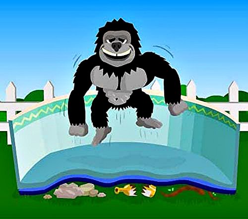 21 Ft Round Pool Liner Floor Protection Pad Pre-Cut Armor Shield Resists Acids Sand Rocks Roots Glass Nutgrass Reduces Heat Loss