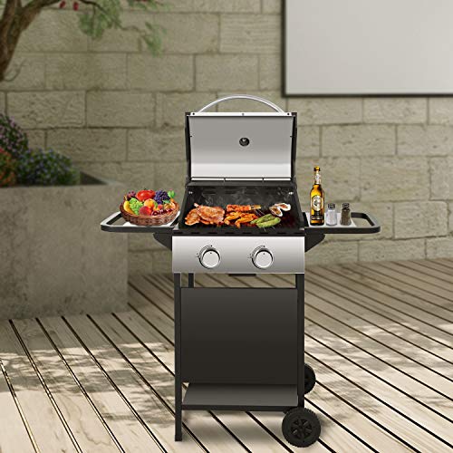 RMYHOME BBQ Liquid Propane Gas Grill Stainless Steel 16,000 BTU Patio Garden Barbecue Grill with Built in Thermometer, Removable Wheels (Two Burners)