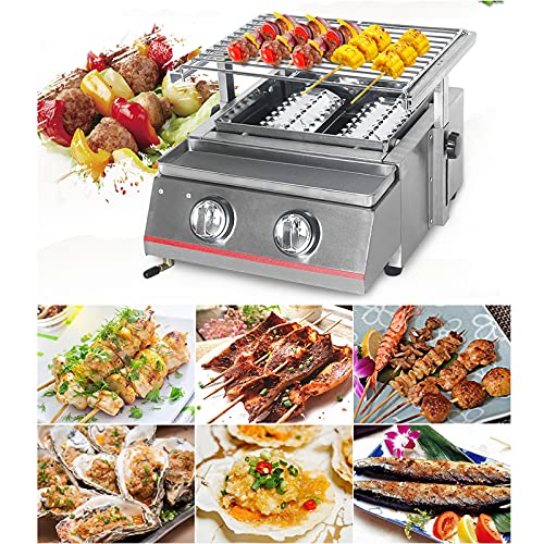 KXDN Stainless Propane Gas Grill, 2 Burner Gas BBQ Grill, Portable BBQ Grill Use for Picnic Camping Trip Tailgating Patio Garden BBQ Home Use,Silver,Steel Shield