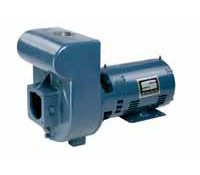Pentair Sta-Rite DPC Self-Priming Centrifugal Pool and Spa Pump, 115-Volt, 1/2 HP