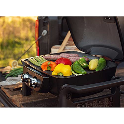 Nexgrill Cast Aluminum Table Top Gas BBQ