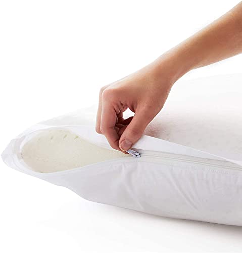 Talalay Latex Foam Mid-Loft-Medium Plush Feel-Removable Cotton Cover Pillow, Queen Size (Pack of 1), White (Тwo Рack)