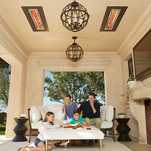 Infratech WD-Series Dual Element Stainless Steel 39