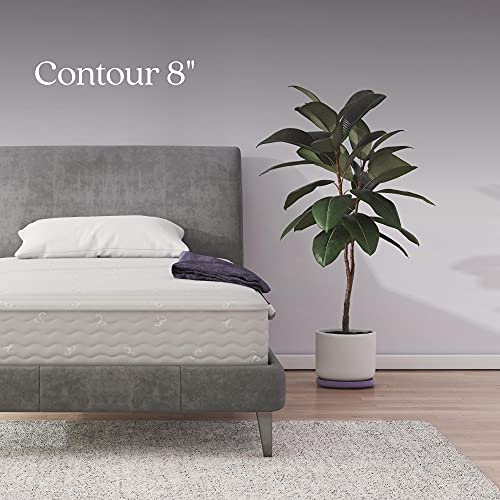 Signature Sleep Contour 8