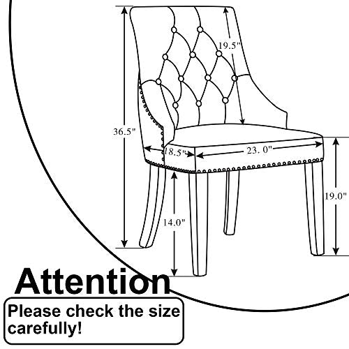 DAGONHIL Fabric Dining/Accent Chairs (Set of 2) with Black Solid Wooden Legs,Nailed Trim (Beige)