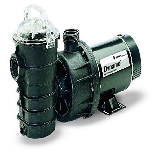 Pentair 340104 Stainless Steel Black Dynamo Single Speed Pump without Cord, 1-Horsepower Pump