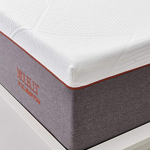 Queen Mattress, Molblly 14 inch Gel Memory Foam Mattress Bed Mattress in a Box Medium Plush