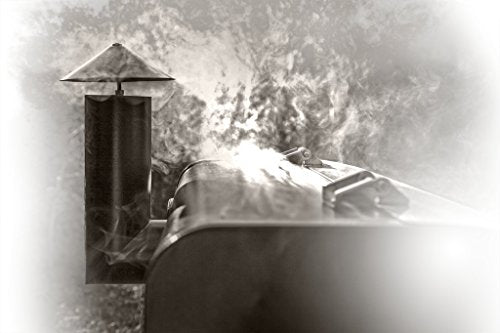 Camp Chef PG24STX SmokePro Pellet & Smoker with Digital Controls & Stainless Temp Probe