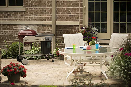 Weber-Stephen Products 15503001 Perf PRM 22