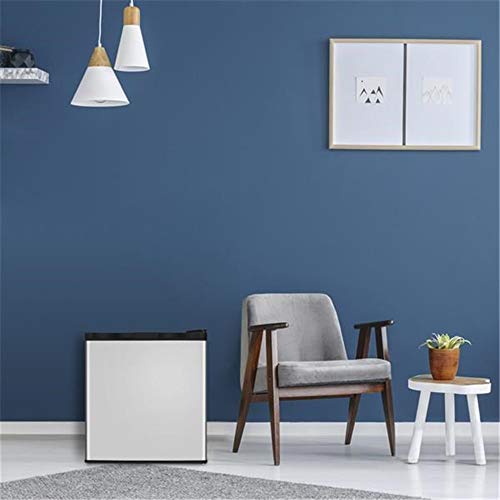 SHIYANLI American Standard BD-40 AC115V/60Hz 31.1L/1.1CU.FT Single Door Vertical Freezer Stainless Steel Panel+Black