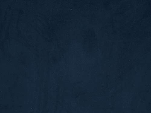 Acme Furniture Ansario Sofas, Blue Velvet