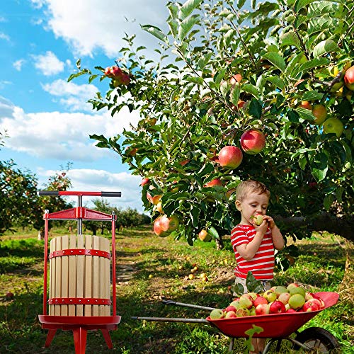 SQUEEZE master Fruit Wine Cider Press - Solid Wood Basket- 4.75 Gallon/18L-T Handle Bar-More Stable,Apple Grape Crusher for Juice Maker,Kitchen