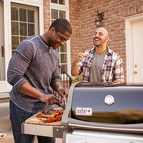 Weber 46110001 Spirit E-210 Gas Grill | Liquid Propane, 2-Burner | Black