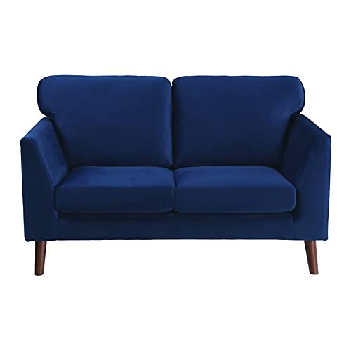 Lexicon Tolley Velvet Loveseat in Blue