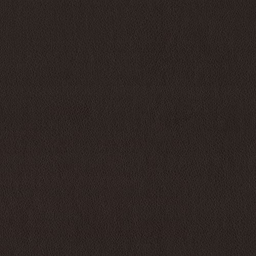 Lexicon Azrael Faux Leather Double Manual Reclining Loveseat, 62