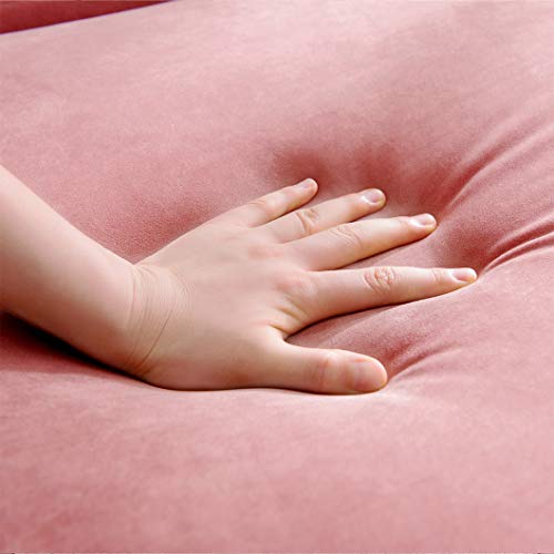 Sleeper Sofa,2 in 1 Sofa Bed,Compact Soft Velvet Sofa Bed Pull-Out Sleeper with 2 Lumbar Pillow