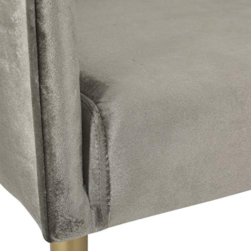 Christopher Knight Home Brayer LOVESEAT, Gray + Gold