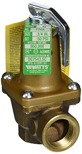 Pentair 470768 Pressure Relief Valve Replacement Commercial Pool and Spa Heater