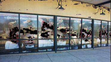 CLEAR FOCUS ECONOVUE® 60/40 WITH DO-ALLINER 54