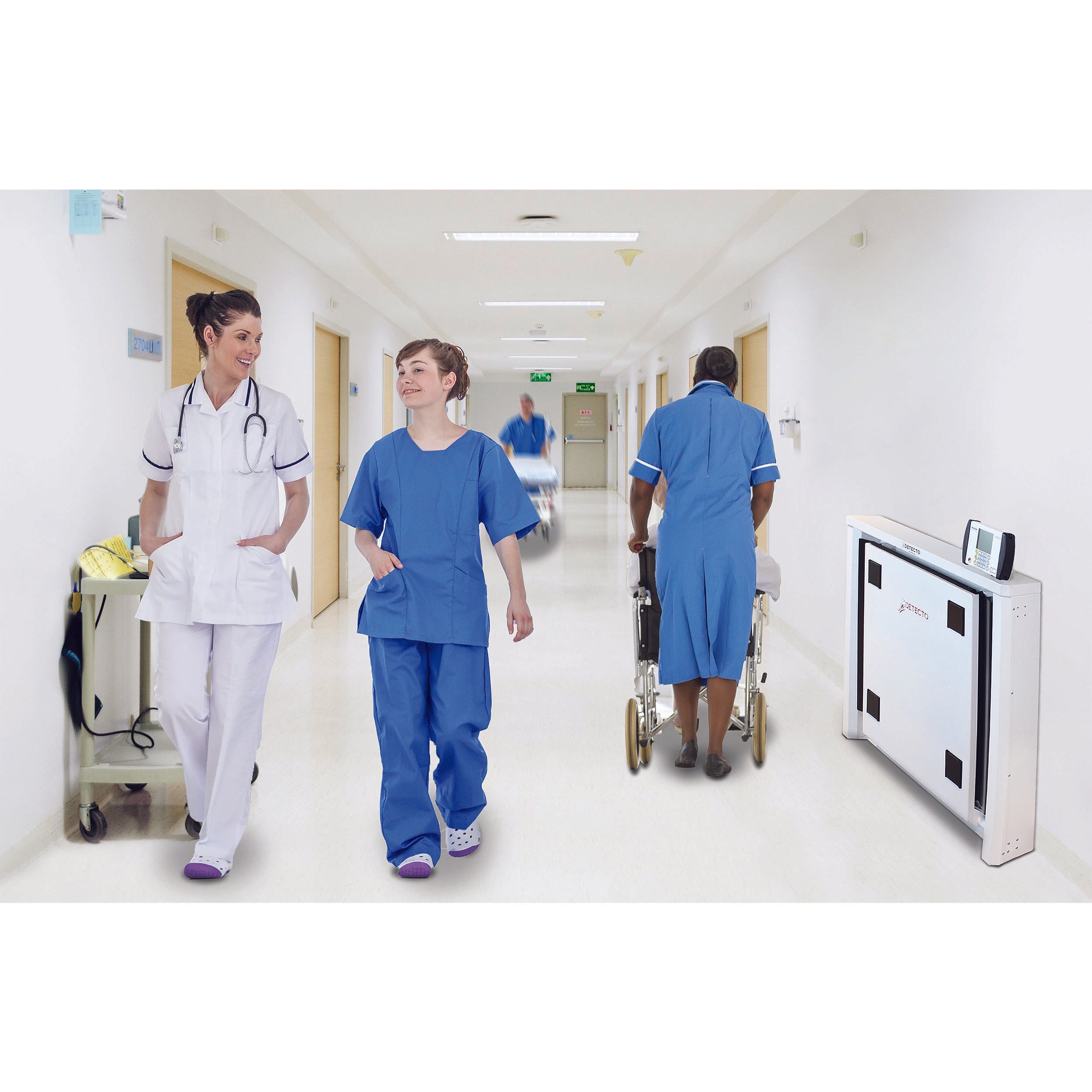 Detecto 7550 Wall-Mount Fold-Up Wheelchair Scale