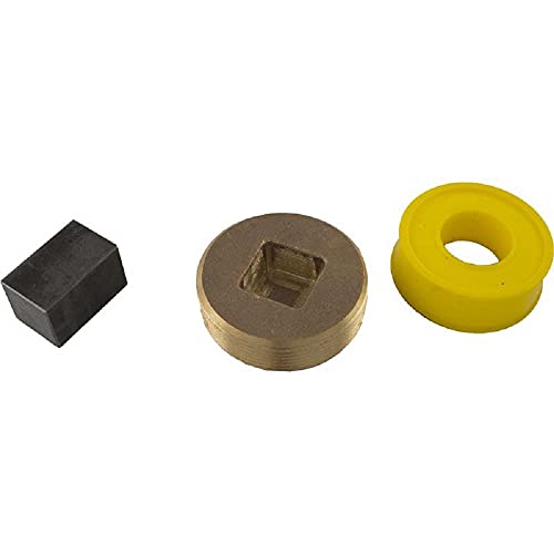 Sta-Rite Pentair Bypass Access Plug, Max-E-Therm #472648Z