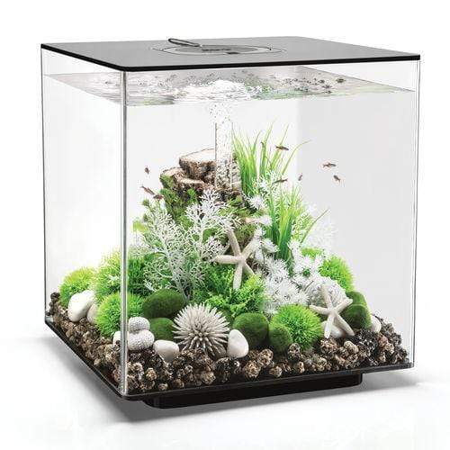 biOrb Cube 60L / 16 Gallon All-in-One Acrylic Aquarium Kit with LED Light
