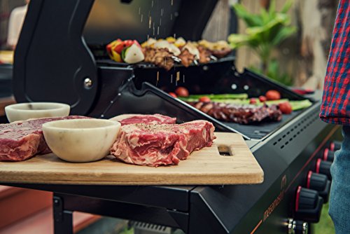 Megamaster 720-0982 Propane Gas Grill, Black