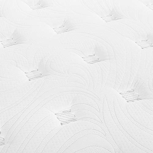 Olee Sleep 10 Inch Milky Way Tight Top Hybrid Mattress, Queen, White