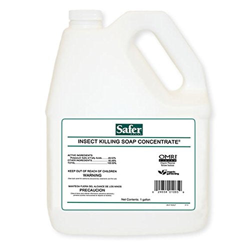 Safer Insect Killing Soap II Conc. Gallon (4/Cs)