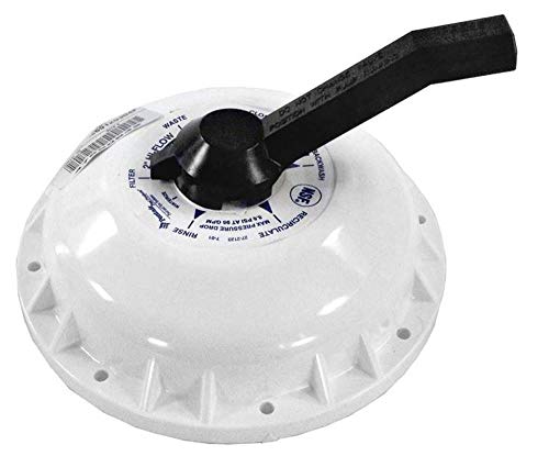 Pentair Hi-Flow Swimming Pool Spa 2