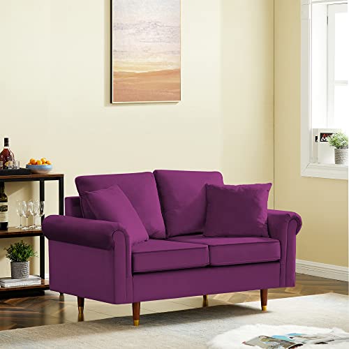 Living Room Furniture, Yoglad Velvet Loveseat, Modern 2 Seater Sofa with Wooden Legs, 2 Throw Pillows Included (Loveseat, Purple)