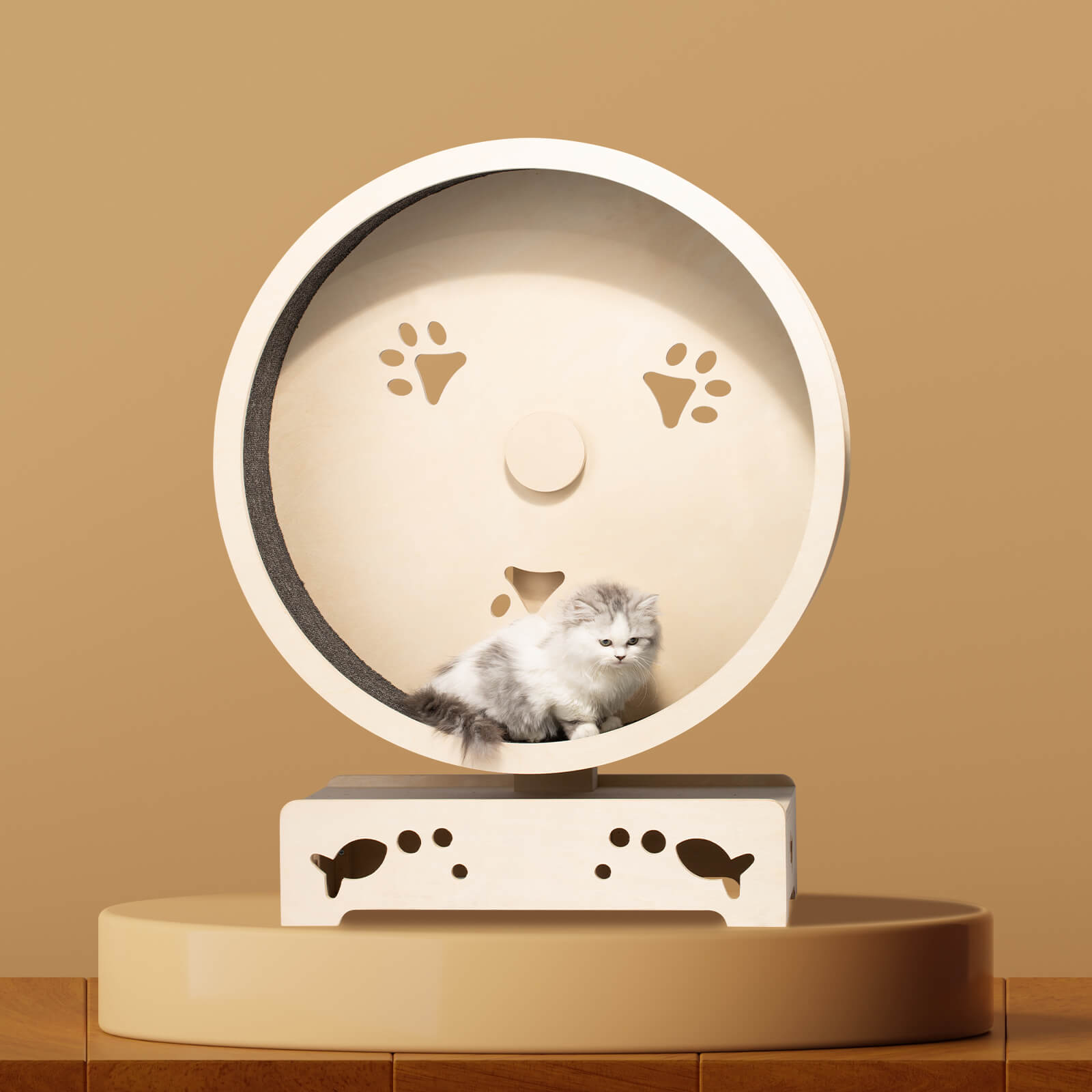 Paws and Fish Cat Wheel