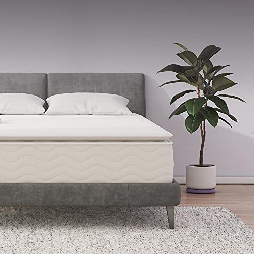 Signature Sleep Contour Hybrid 12