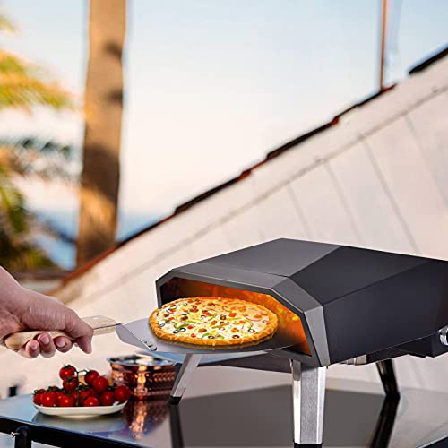 Portable Gas Pizza Oven with 13