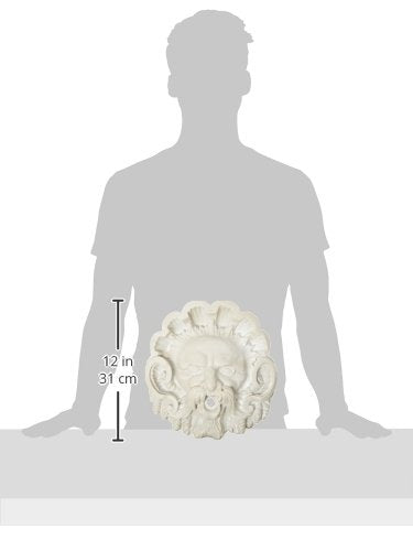 Pentair 5820002 WallSpring Natural Neptune Figurehead Decorative Accent