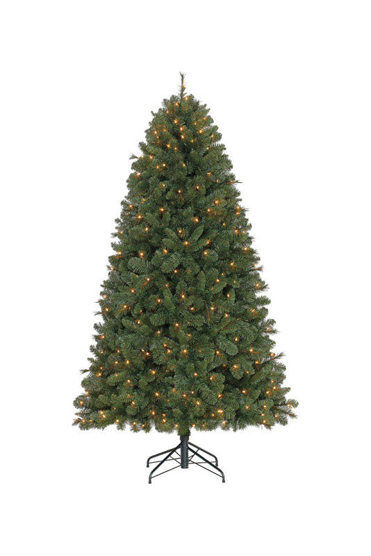 Tree Endicott 7' Clr