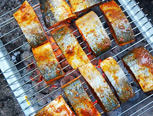 UCO Grilliput Quattro Collapsible Camping Grill, 17 by 16-Inch