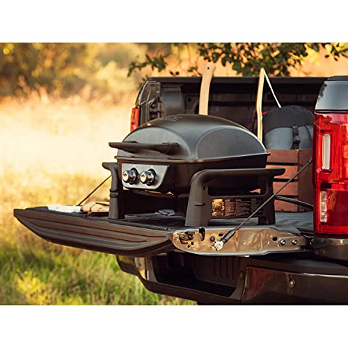 Nexgrill Cast Aluminum Table Top Gas BBQ