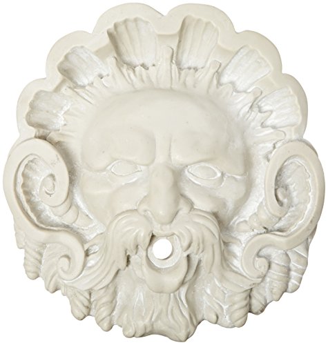 Pentair 5820002 WallSpring Natural Neptune Figurehead Decorative Accent