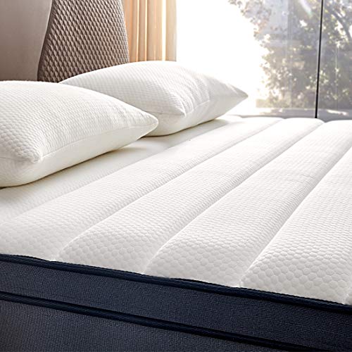 Queen Mattress, Molblly 10 inch Individually Wrapped Coils Innerspring Mattress, Pocket Spring Hybrid Mattresses for Sleep Supportive
